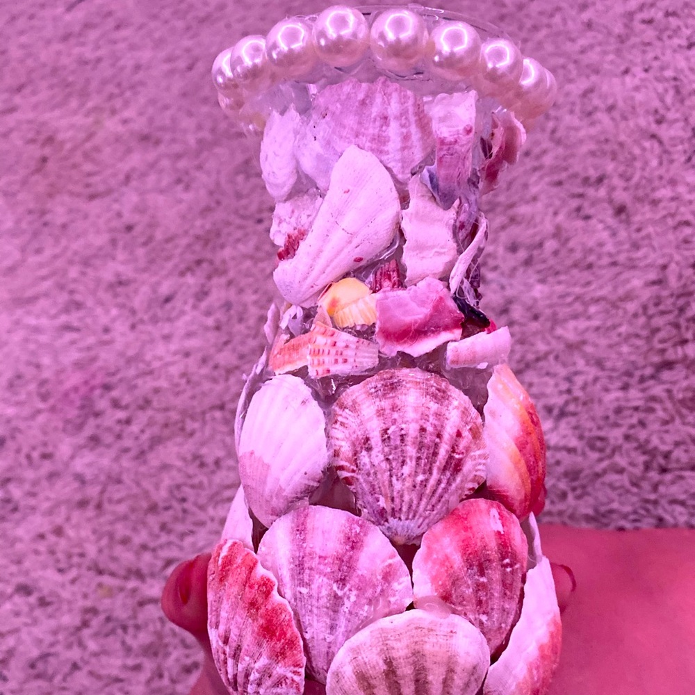 Shell decor